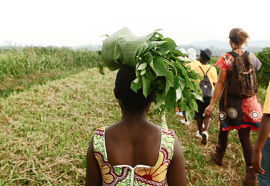 L'agriculture dans la cité de la joie